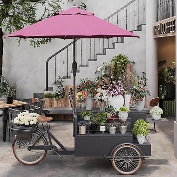 Mobile Food Vending Bicycle Cart, Commercial Tricycle Food Juice and Flowers Vending Station with Storage Compartments Parasols for Street Outdoor Stalls,D