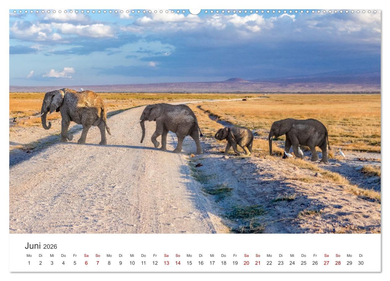 Kenia - Eine Safari durch unberührte Natur. (Wandkalender 2026 DIN A2 quer), CALVENDO Monatskalender: 12 hevorragende Aufnahmen aus Kenia. (CALVENDO Orte)