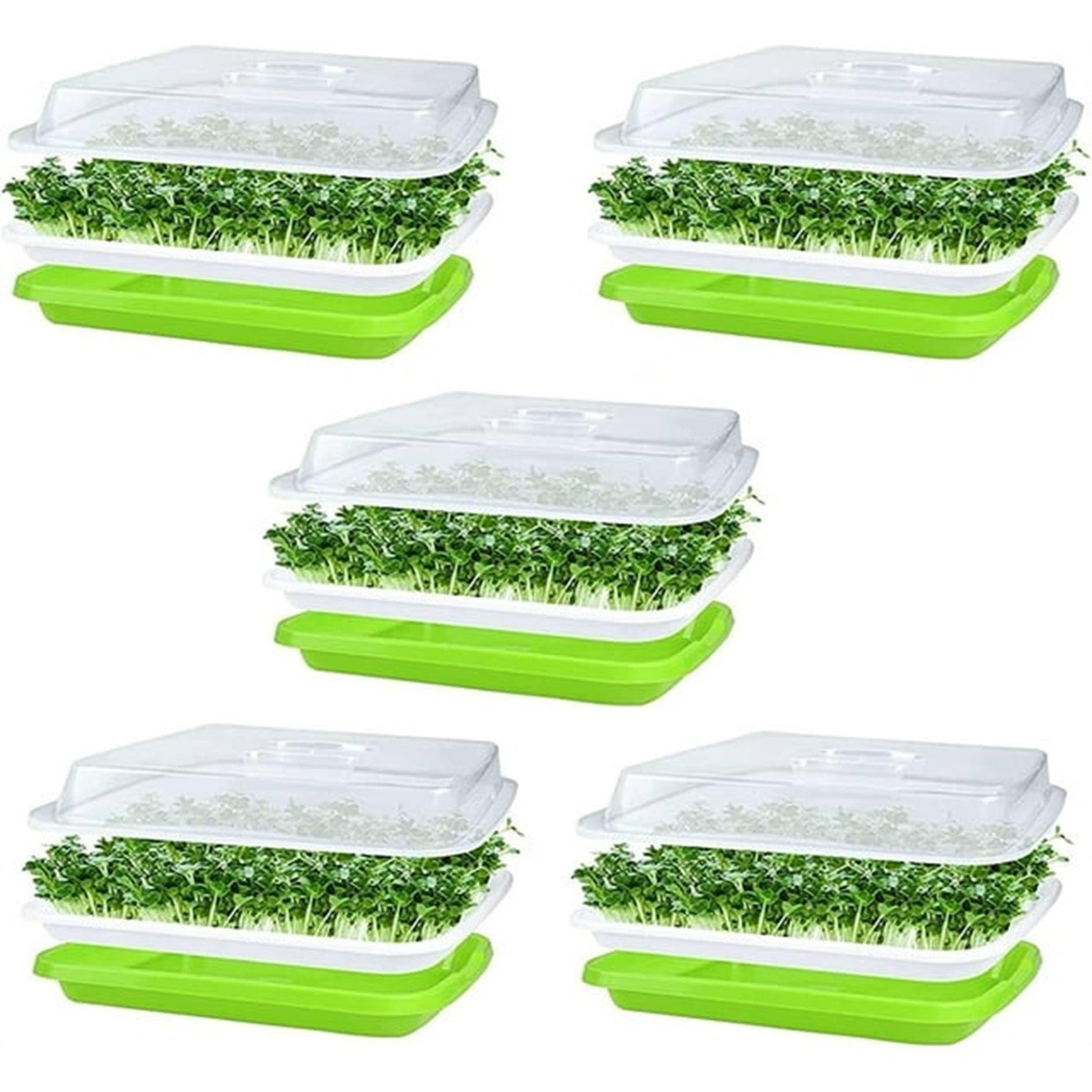 IcyFlame Seed Germination Tray - Start Seeds Easily -11 IcyFlame Seed Germination Tray - Start Seeds Easily -11