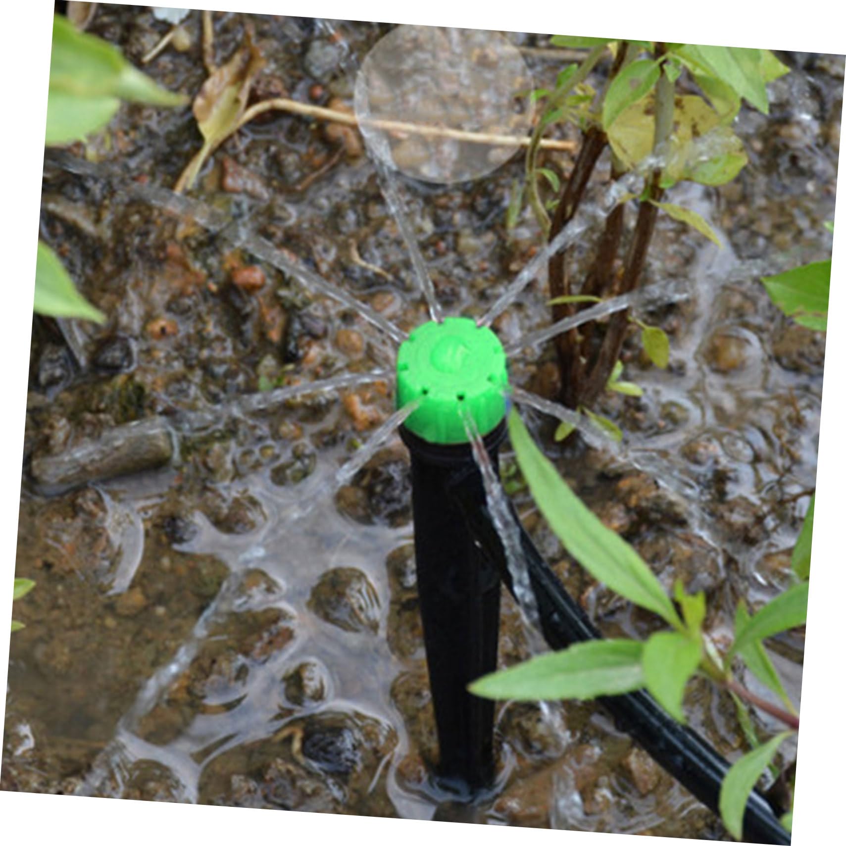BESPORTBLE 250pezzi Testine Di Irrigazione Goccia Regolabili Per Giardino Irrigatori Spruzzo Per Irrigazione Efficiente Bassa Pressione