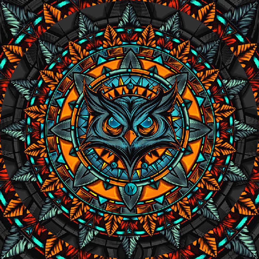 Kose Paint by Numbers for Adults Beginner and Kids,Easy