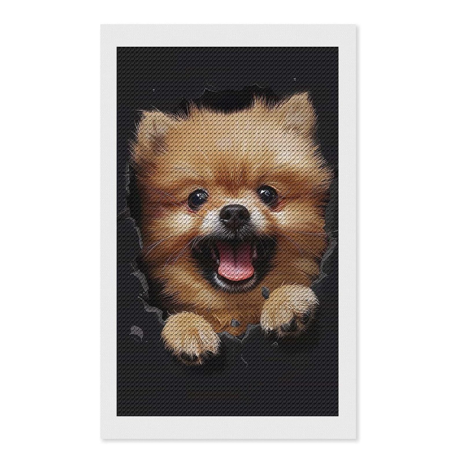 Junmoney Pomeranian(2) Diamond Painting Set 12"x20", Sparkling Round Gems, Decorate Your Room, Fun Craft Experience, Modern Decor