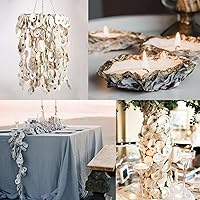 Vista 5 de QEQEKAKA 25 PCS Conchas de Ostra 3"-4" Conchas de Ostra Cóncavas para Manualidades Conchas de Ostra Naturales a Granel, para Relleno de Jarrones