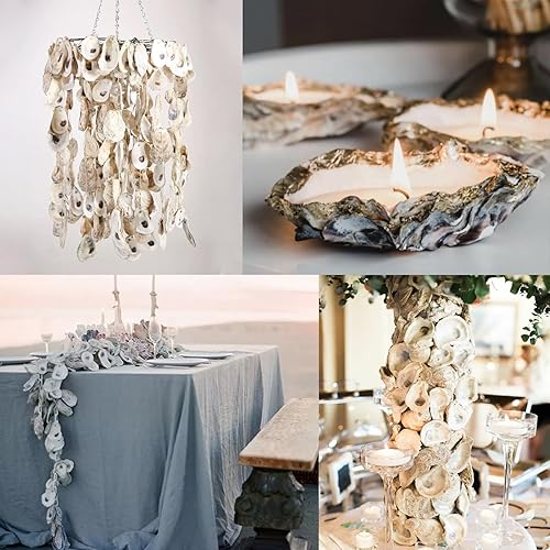 Miniatura 5 de QEQEKAKA 25 conchas de ostras cóncavas de 3 a 4 pulgadas para manualidades, conchas de ostras naturales a granel, para relleno de jarrones en el