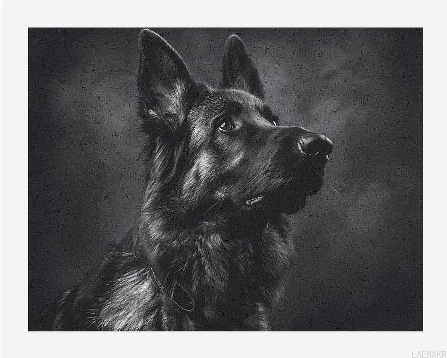 Black German Shepherd Paint by Numbers for Adults Beginner DIY Painting Kits Wall Art for Home Office Decor 40x50cm