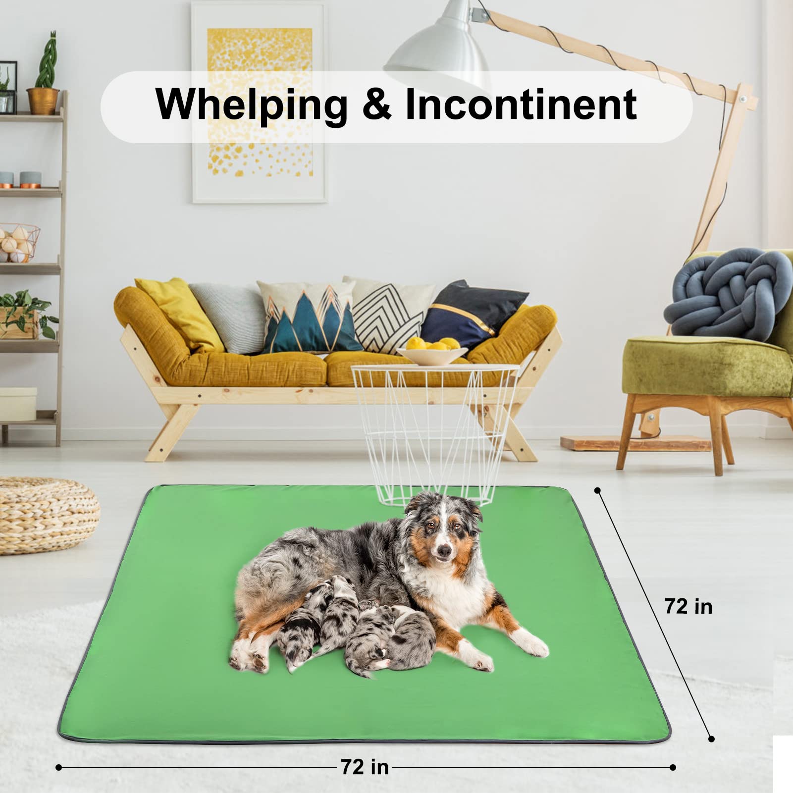https://m.media-amazon.com/images/I/71ZX0ttCvGL.jpg