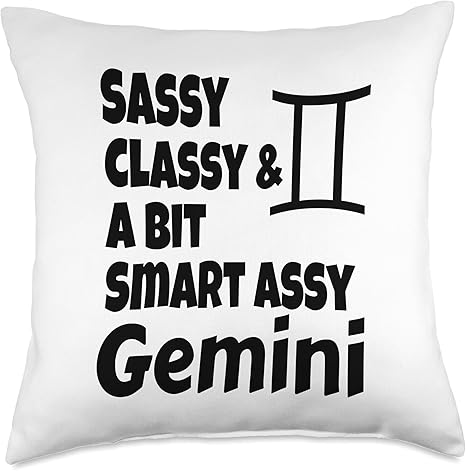 classy throw pillows
