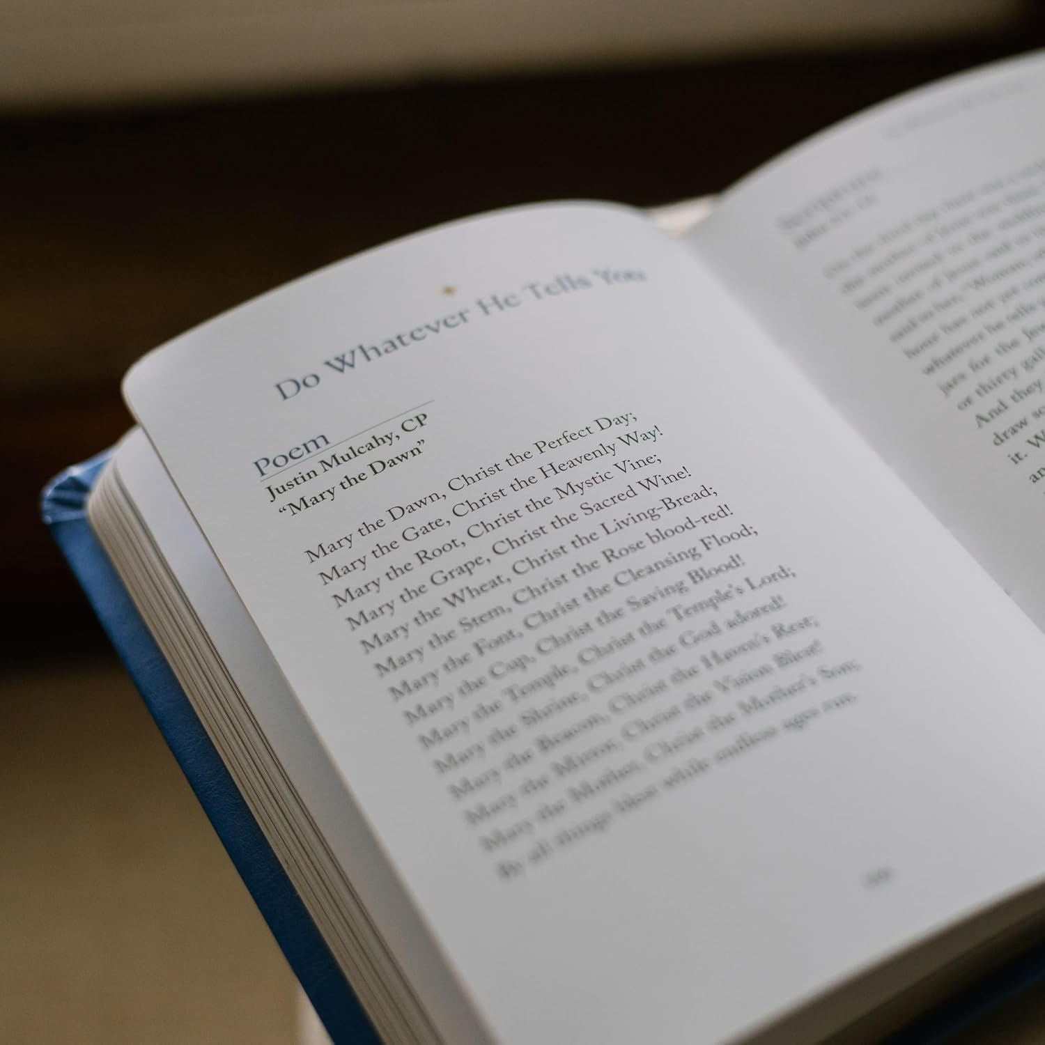 Gate of Heaven: Reflections on Mary, The Mother of God - Image 6