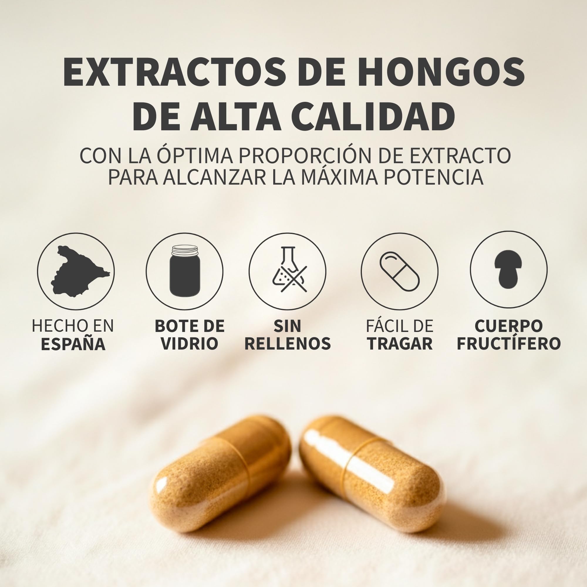 HIFAS DA TERRA - Mico-Leo Extracto Puro de Melena de León Hericium - Alta concentración de Beta-Glucanos y Vitamina C - Apoyo cognitivo, memoria, bienestar emocional e inmunitario - Refill 60 Cápsulas