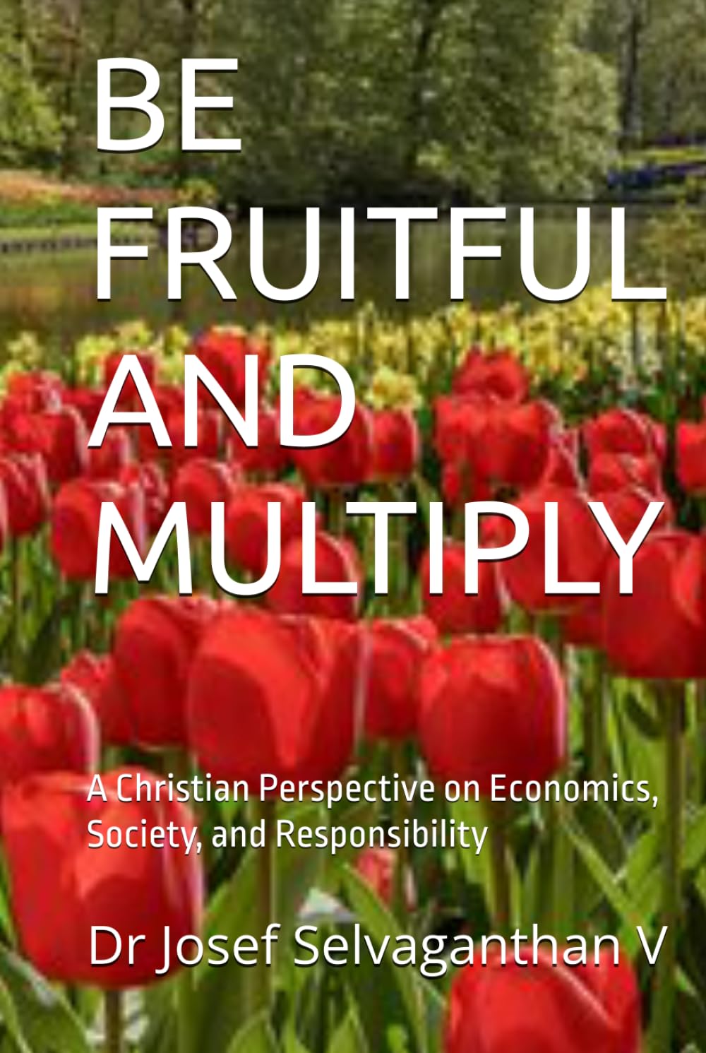 BE FRUITFUL AND MULTIPLY: A Christian Perspective on Economics, Society, and Responsibility