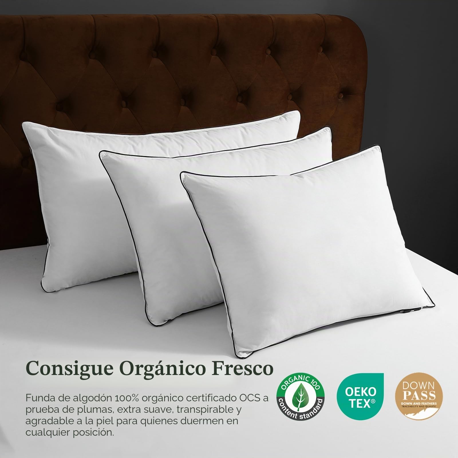 DWR Almohadas de Plumas y Plumón de Ganso,Paquete de 2 Lujosa Plumón de Plumas Orgánico Almohadas, Diseño de 3 Habitaciones, Relleno de Pluma de Ganso, Lavable a Máquina,Blanco 40x80cm