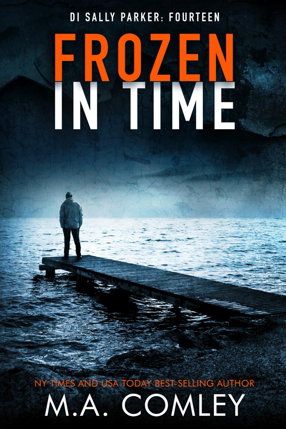 Frozen in Time: 14 (DI Sally Parker)