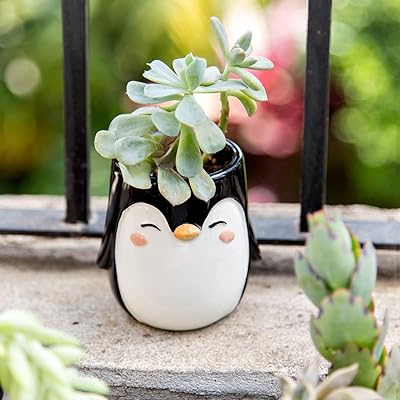 Animal Ceramic Planter (Penguin)