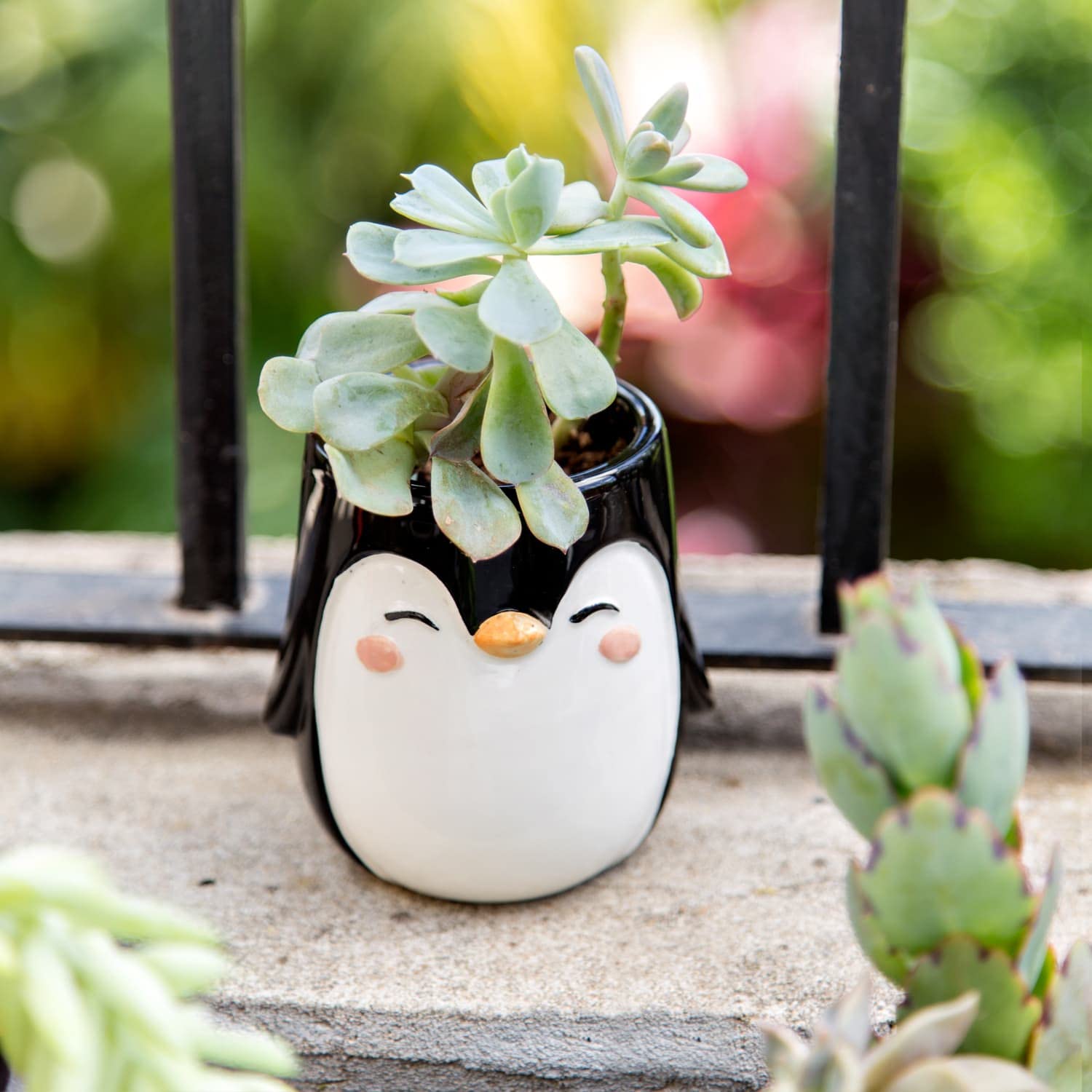 Penguin Animal Ceramic Planter for Indoor and Outdoors, 3 x 3 x 4 in., Cute Hand Painted Designed in Argentina, Convenient Drain Hole