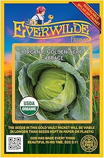 Everwilde Farms - 250 Organic Golden Acre Cabbage Seeds - Gold Vault Packet