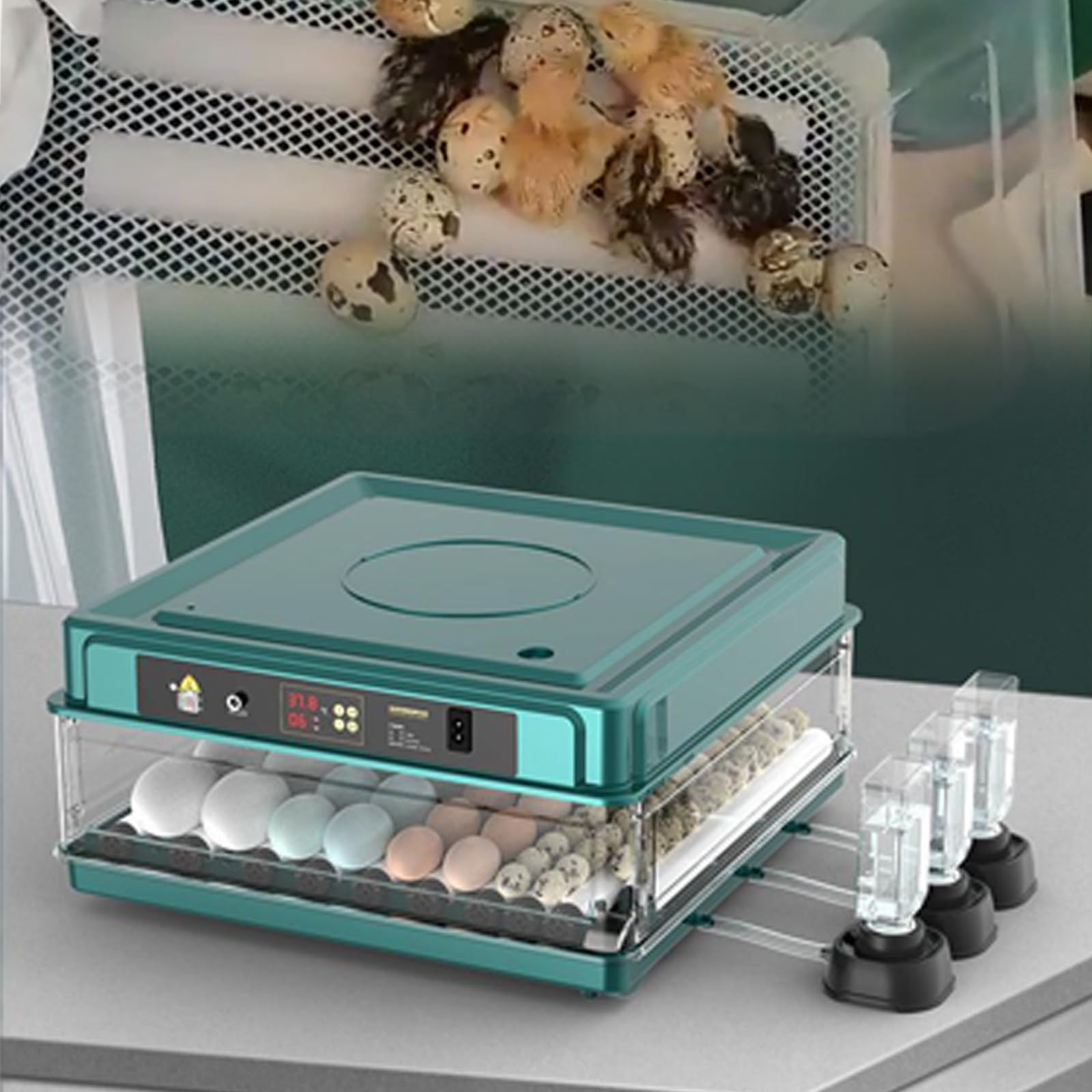 SPECIALBIEGEBUY 36 Eggs Incubator with Humidity Display, Auto Water Refill Function & Precise Automatic Temperature Regulation, Designed For Hatching Chicken, Quail, Duck And Goose Eggs