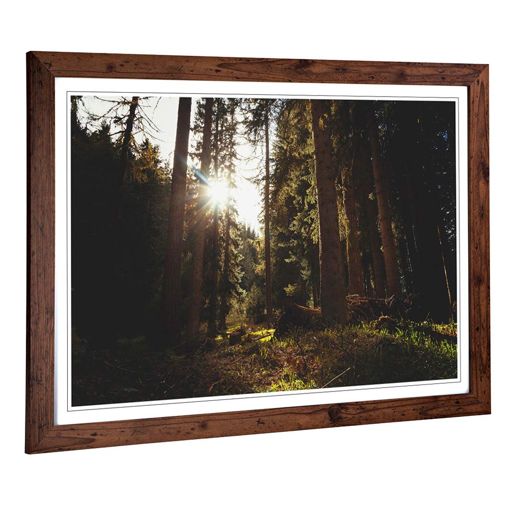 Big Box Art Framed Print of Landscape Sunlight Through Forest Woodland (6) Design | Wall Art Picture| Home Decor for Kitchen, Living Room, Bedroom, Hallway, Walnut, A2 / 24.5x18 Inch / 62x45cm
