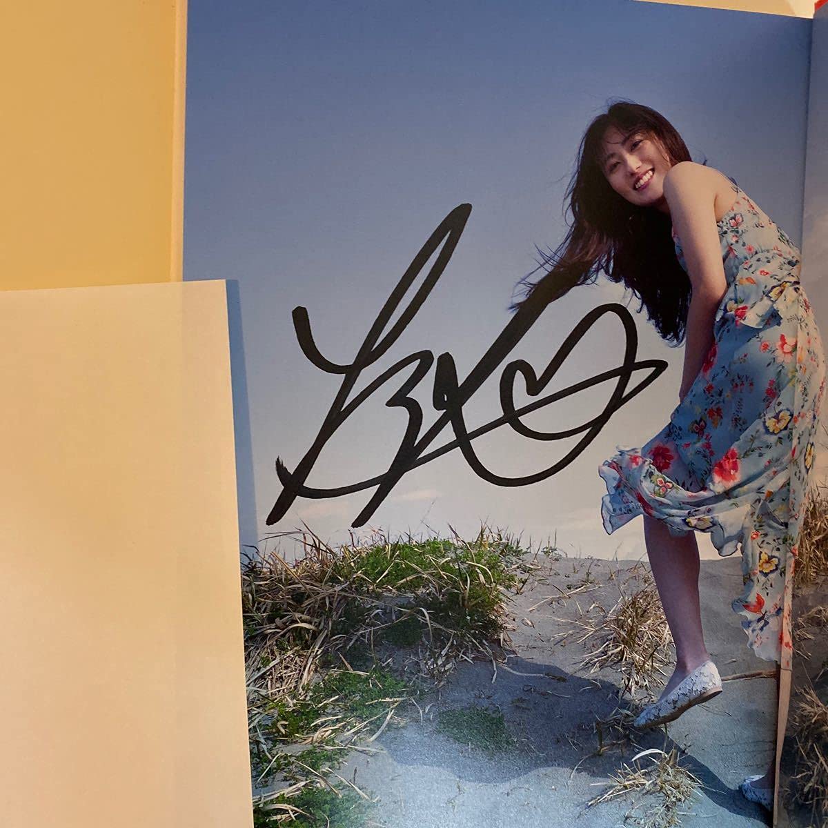 Amazon.co.jp: 奥山かずさ 愛鍵 写真集 中村昇 AI KAGI サイン
