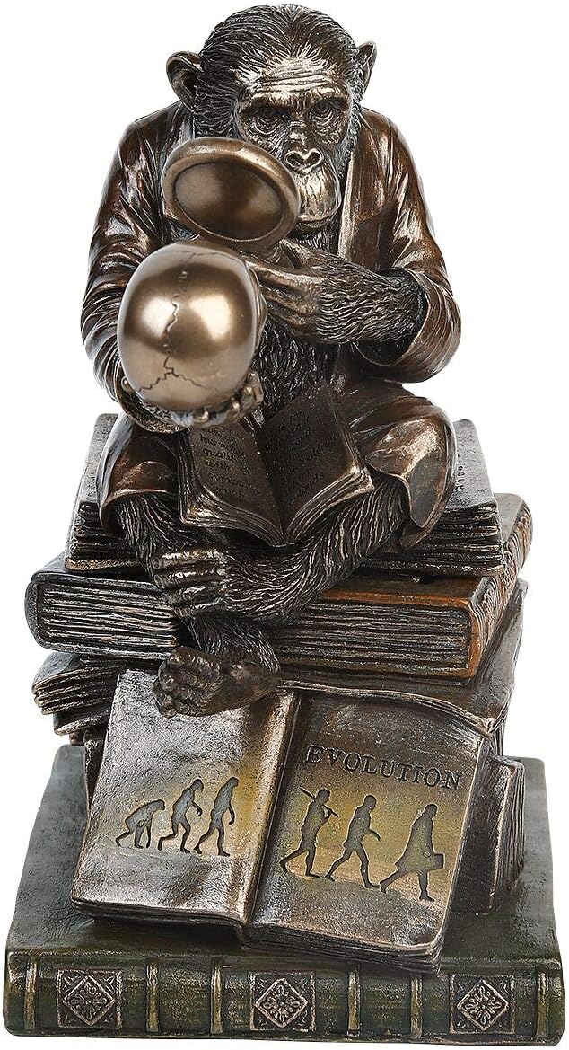 Nemesis Now Darwinism of Evolutionary Theory Box 17.5cm Bronze, Resin