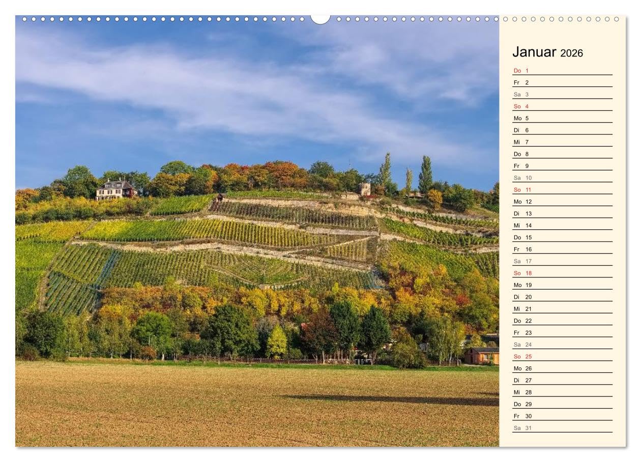 Saale-Unstrut - Region aus Wein und Stein (hochwertiger Premium Wandkalender 2026 DIN A2 quer), Kunstdruck in Hochglanz: Ein Bildkalender aus Deutschlands nördlichster Weinbauregion (CALVENDO Orte)