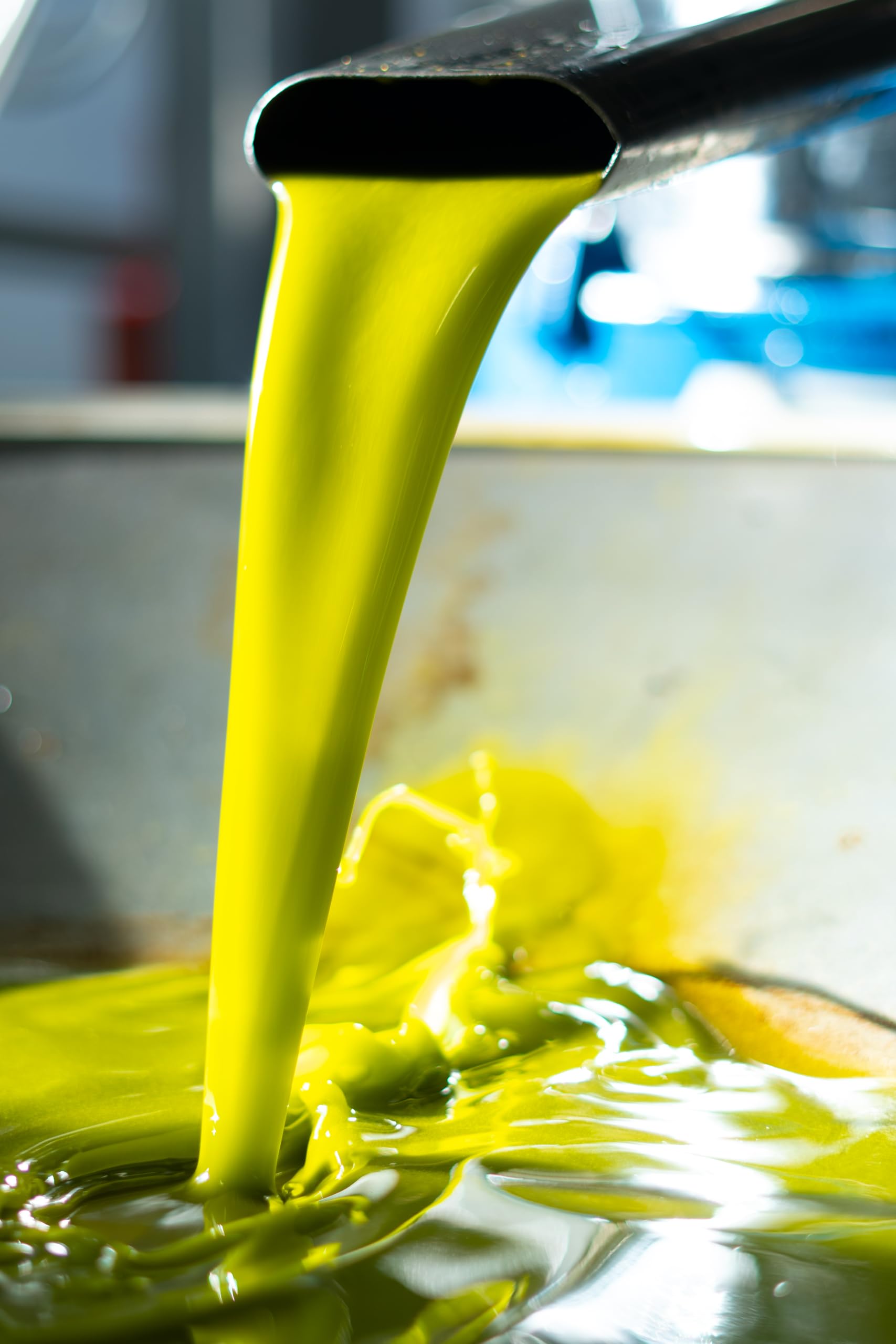 FRANTOIO PERILLI Olio Extra Vergine di Oliva Italiano, Cultivar Coratina, Estratto a Freddo, Lattina da 5 Litri