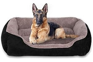 BigDog Orthopedic Dog Bed: The Ultimate Comfort for Large Dogs
