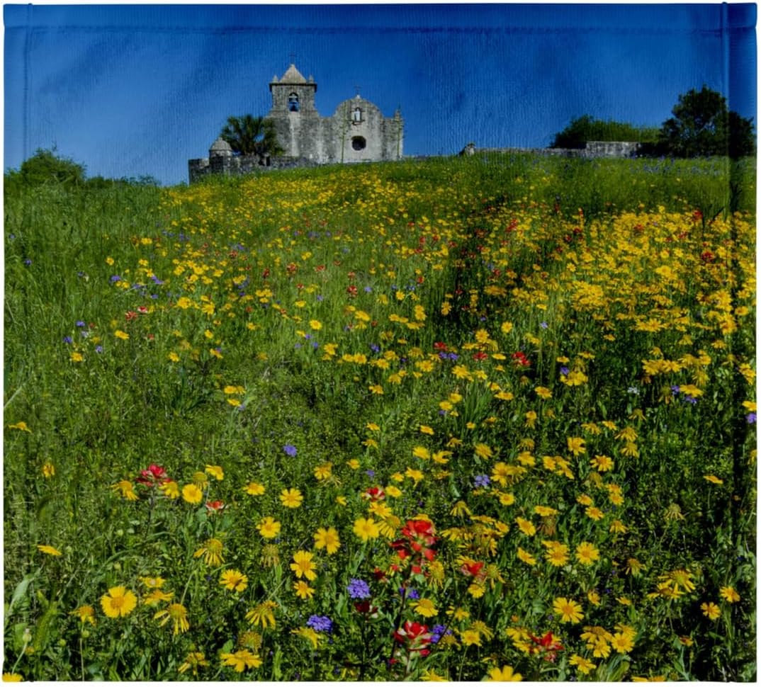 3dRose Wildflowers at Presidio La Bahia, Goliad, Texas, USA - US44 LDI1062 - Larry Ditto 22x30 Bath Hand Pool Towel