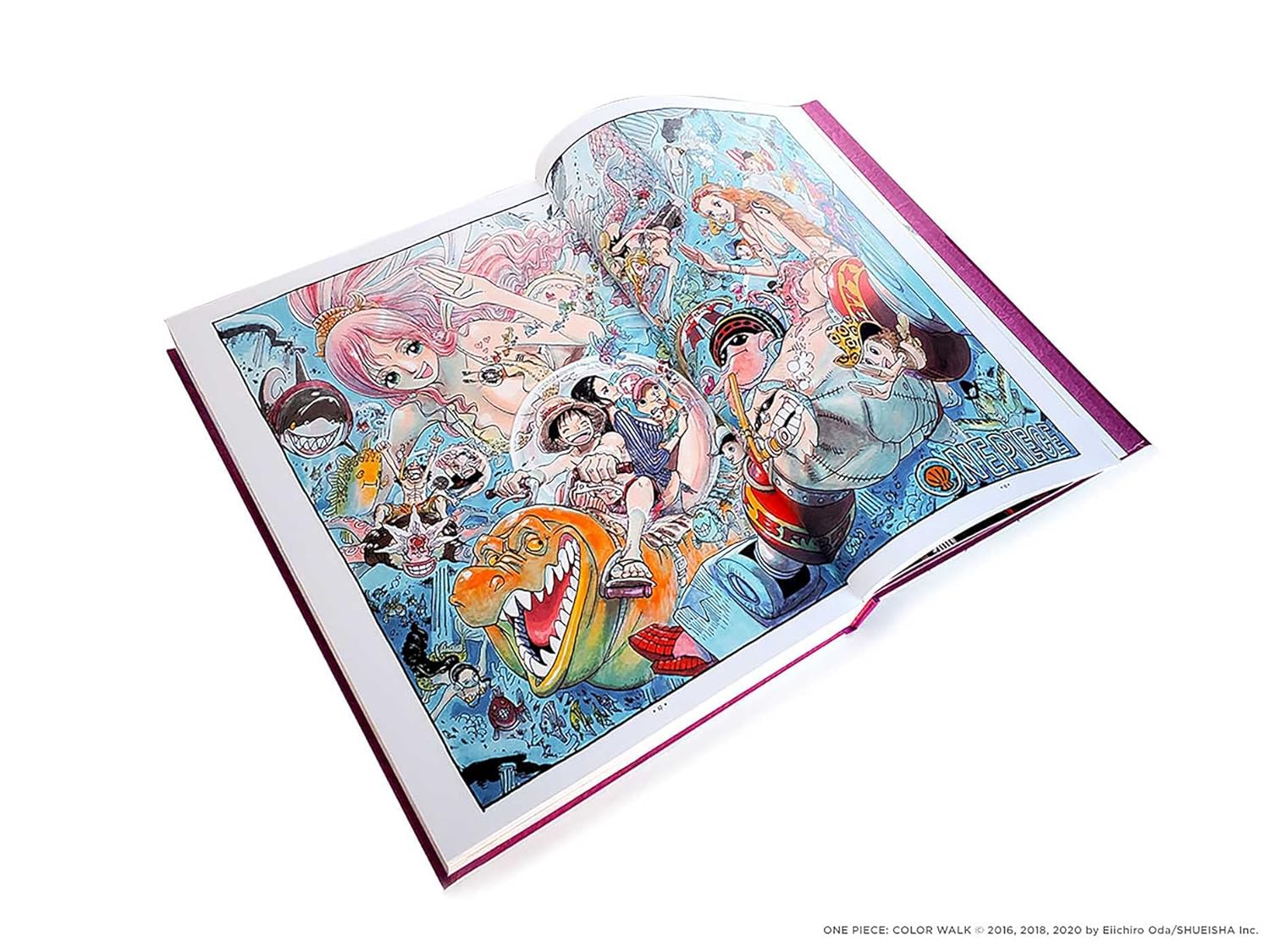One Piece Color Walk Compendium: New World to Wano      Hardcover – December 20, 2022