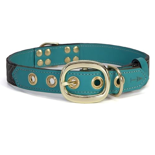 turquoise dog collar
