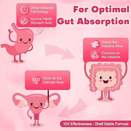 Miniatura 5 de Probióticos para mujeres 100 mil millones de UFC probióticos y prebióticos con enzimas digestivas para la salud intestinal, probióticos vaginales