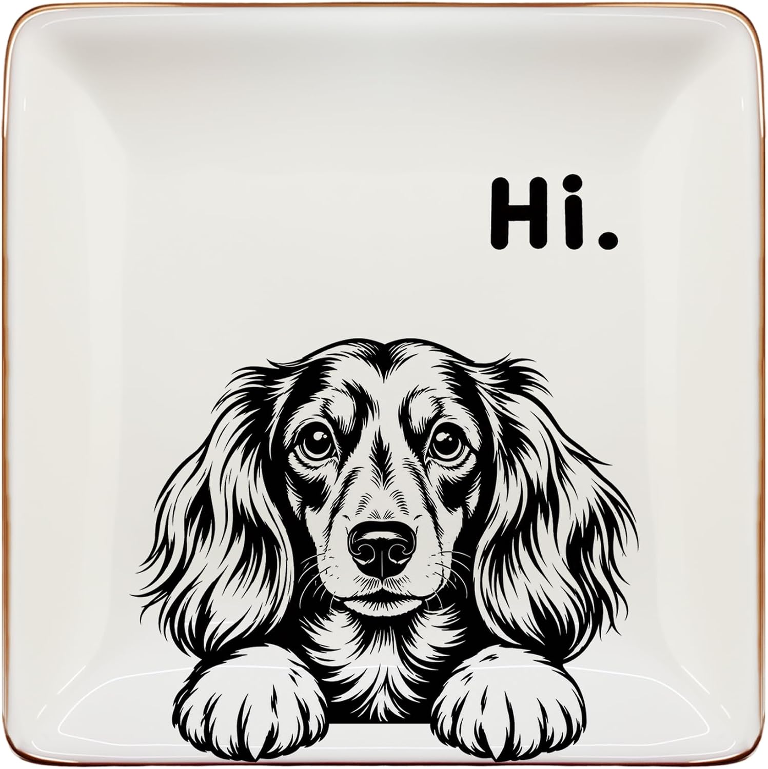 Funny Long-haired Dachshund Dish Tray for Entryway Table Decor