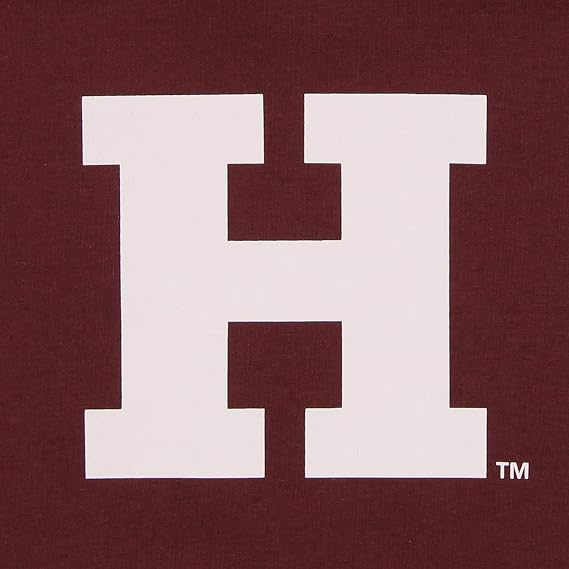 Outerstuff NCAA Little Boys 4-7 Sueded Team Logo Fan Hoodie, Team Variation