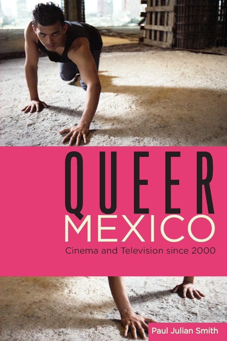 Queer Mexico: Cinema and Television since 2000 (Queer Screens)