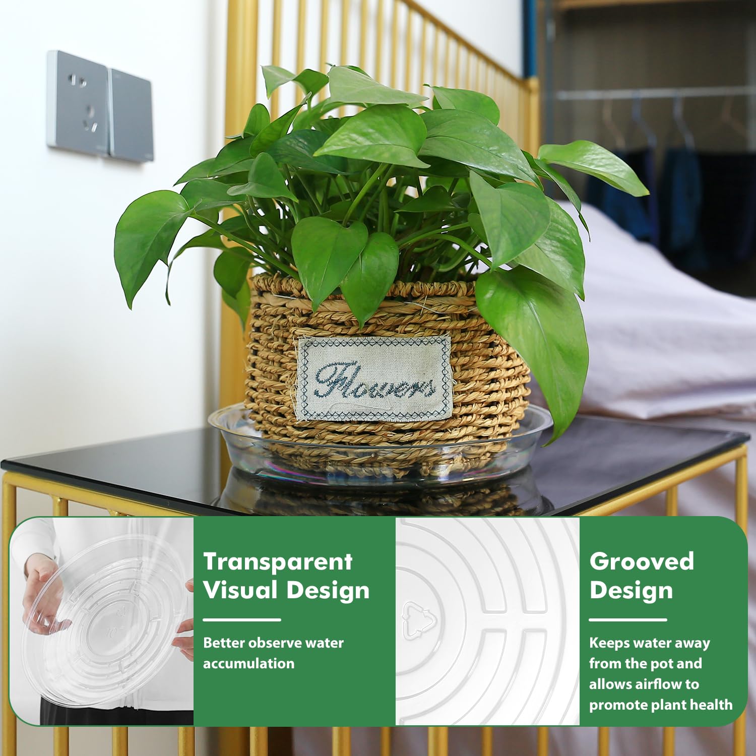 Plant Saucers - 20 Pack for Drainage -8 Plant Saucers - 20 Pack for Drainage -8