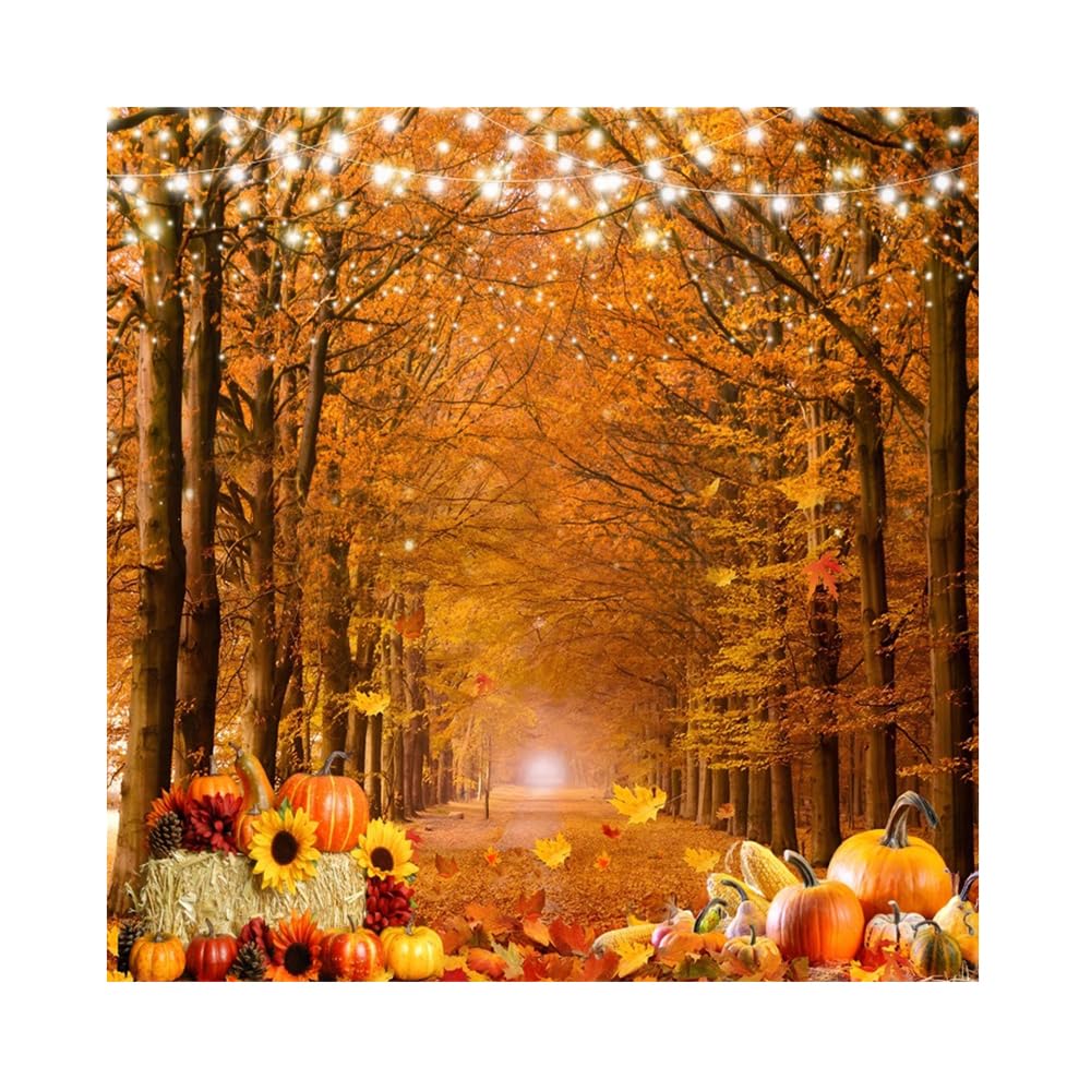 【自主制作盤 DVD】TRiDENT / AUTUMN COLLECTION Amazon.com : Pnylzzyxh Autumn Forest Backdrop Fall Leaves Pumpkin