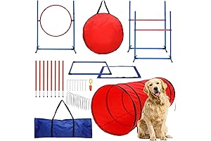 15 Piece Dog Agility Course Backyard Set