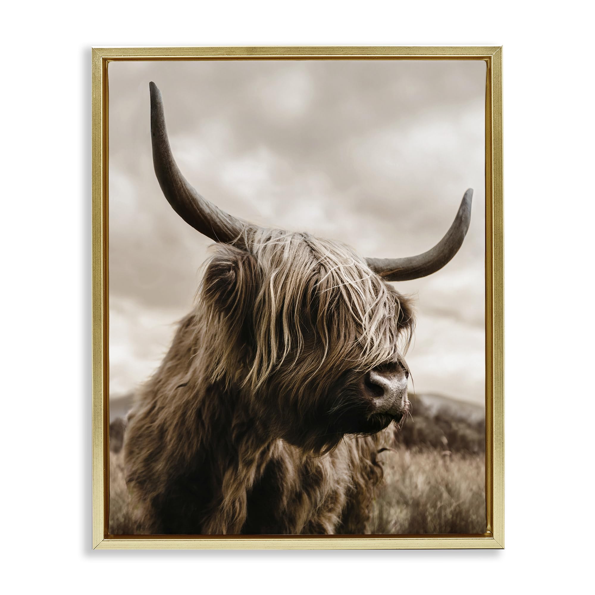Stupell Industries 'Highland Cow on Windswept Moor', Floating Frame Canvas Art, Gold, 25 x 31 Inches, Easy to Hang and Sturdy, Made in USA, by CAD Designs