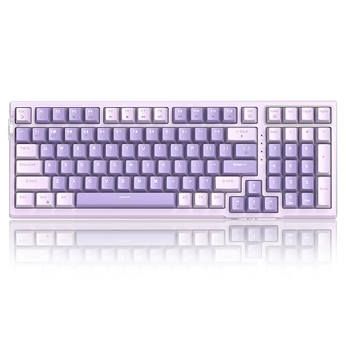 MageGee SKY98 Wireless Gasket Mechanical Gaming Keyboard, 96% Hot Swappable RGB Custom Creamy Keyboard with 5-Layer Sound Padding, BT/2.4G/USB-C, NKRO for Win/Mac (Lavender, Violet Switch) - Lavender / Violet Switch
