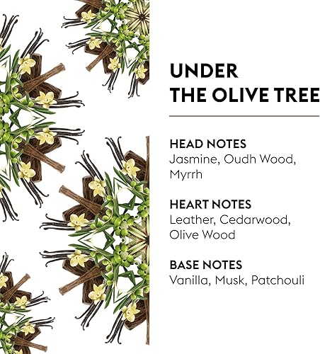 Miniatura 120 de MAISON BERGER Repuesto de fragancia Lampe Berger para difusor de aceite de fragancia del hogar - 16.9 onzas líquidas / 500 mililitros Frescura