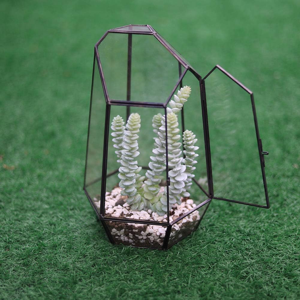 Glass Terrarium, 9.8" Tabletop Succulent Plant Terrarium Geometric with Door for Christmas Decoration Indoor Outdoor, Black