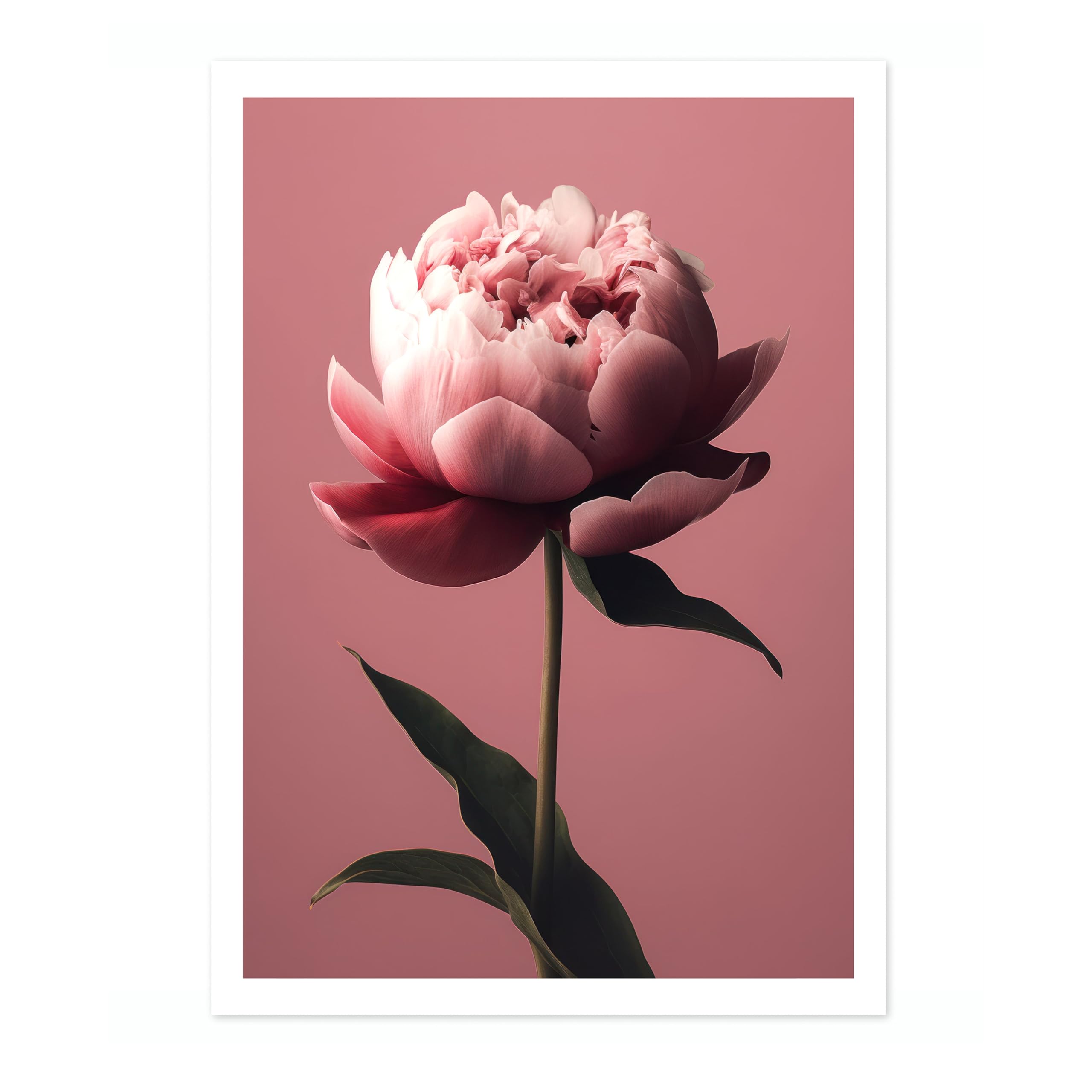 Peony Flower Poster, Colourful Floral Home Decor Wall Art, Abstract Colourful Minimalist Bedroom Artwork Gallery, Archival Matte, A2 (Print Only) - 59.4x42cm — image 1
