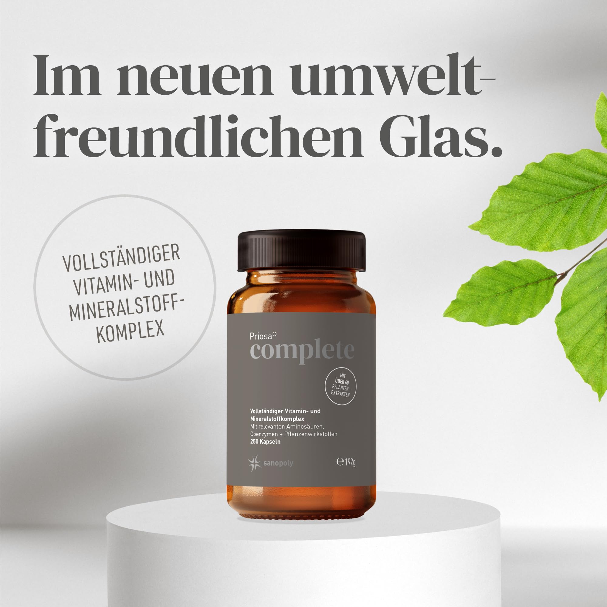 Priosa® complete 250 Multivitamin Kapseln I Unterstützt Energiestoffwechsel, Immunsystem und geistige Leistung I 42 Pflanzenextrakten, 16 Aminosäuren, 13 Mineralien & 13 Vitaminen | vegan