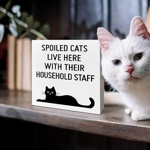 Miniatura 8 de Cartel de madera para decoración de escritorio con diseño de gato, diseño de gato divertido para el hogar, dormitorio, oficina, amantes de los