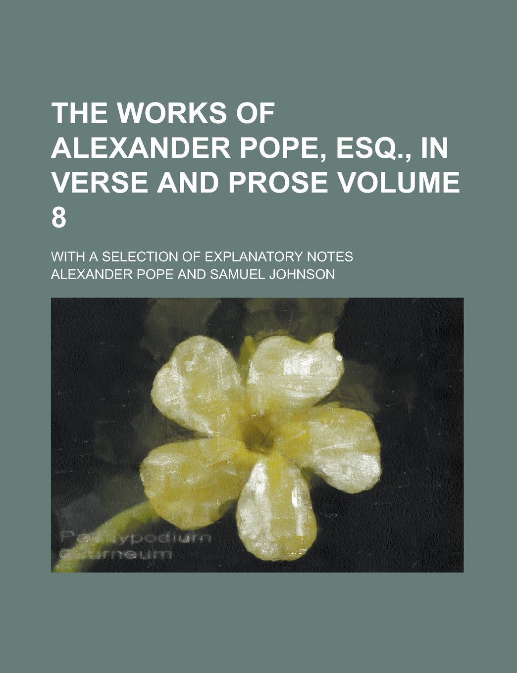 The Works of Alexander Pope, Esq., in Verse and Prose; With a Selection of Explanatory Notes Volume 8