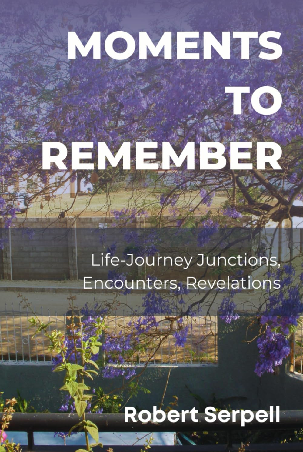 Moments to Remember: Life-Journey Junctions, Encounters, Revelations