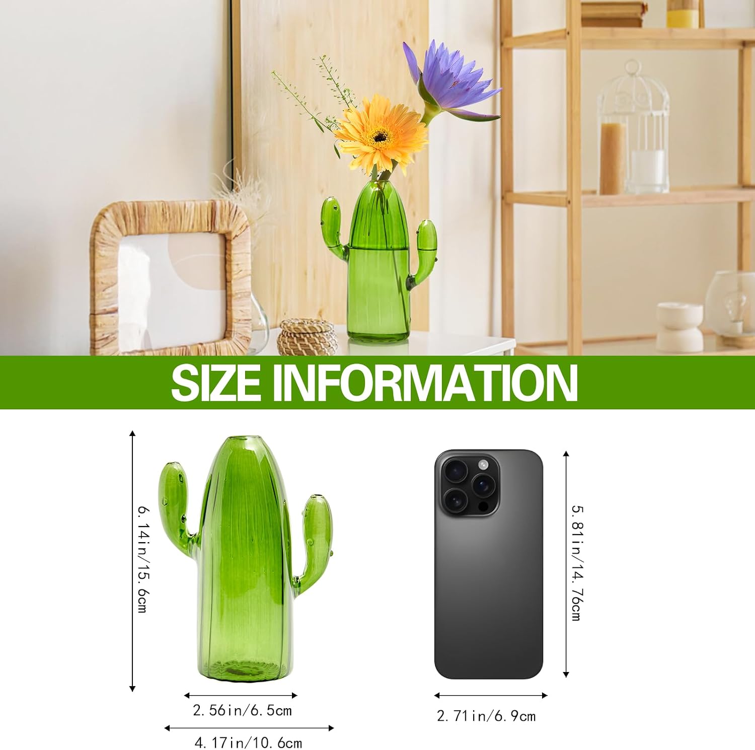XXXFLOWER Cactus Plant Propagation Station 1 Cactus Vase Terrarium Jars image 2