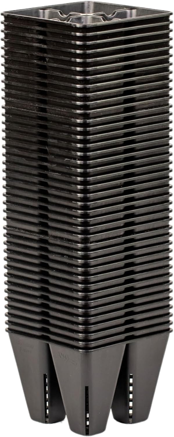 Bootstrap Farmer Reusable 4-Cell Black Large Seed Starting Tray Inserts for Germination, Propagation, and Plant Starts 40-Pack