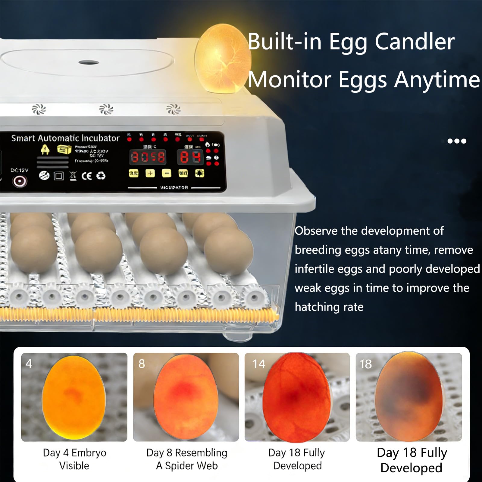 Incubadora De Huevos Con Paletta, Termostato Digitale E Controllo Dell'umidità, Visione Chiara A 360° - Per Far Schiudere Uova Di Pollo, Anatra E Quaglia A Casa, In Fattoria O A Scuola Nine