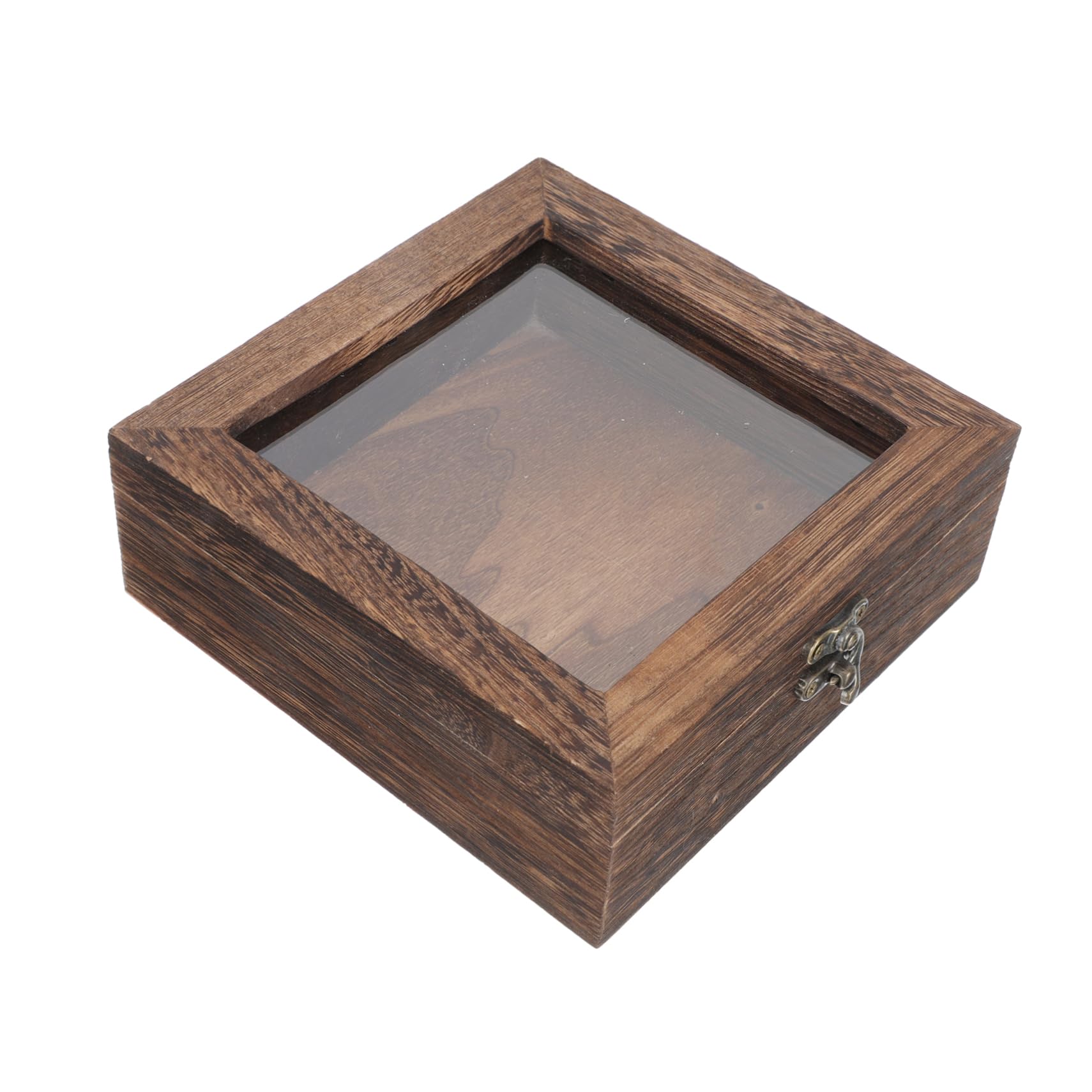 GLSTOY Box Butterfly Specimen Box Insect Sample Case Container with Lid Holder Retro Jewelry Case Terrarium Container Vintage Clear Display Case Specimen Case Jewelery Flip Type Acrylic