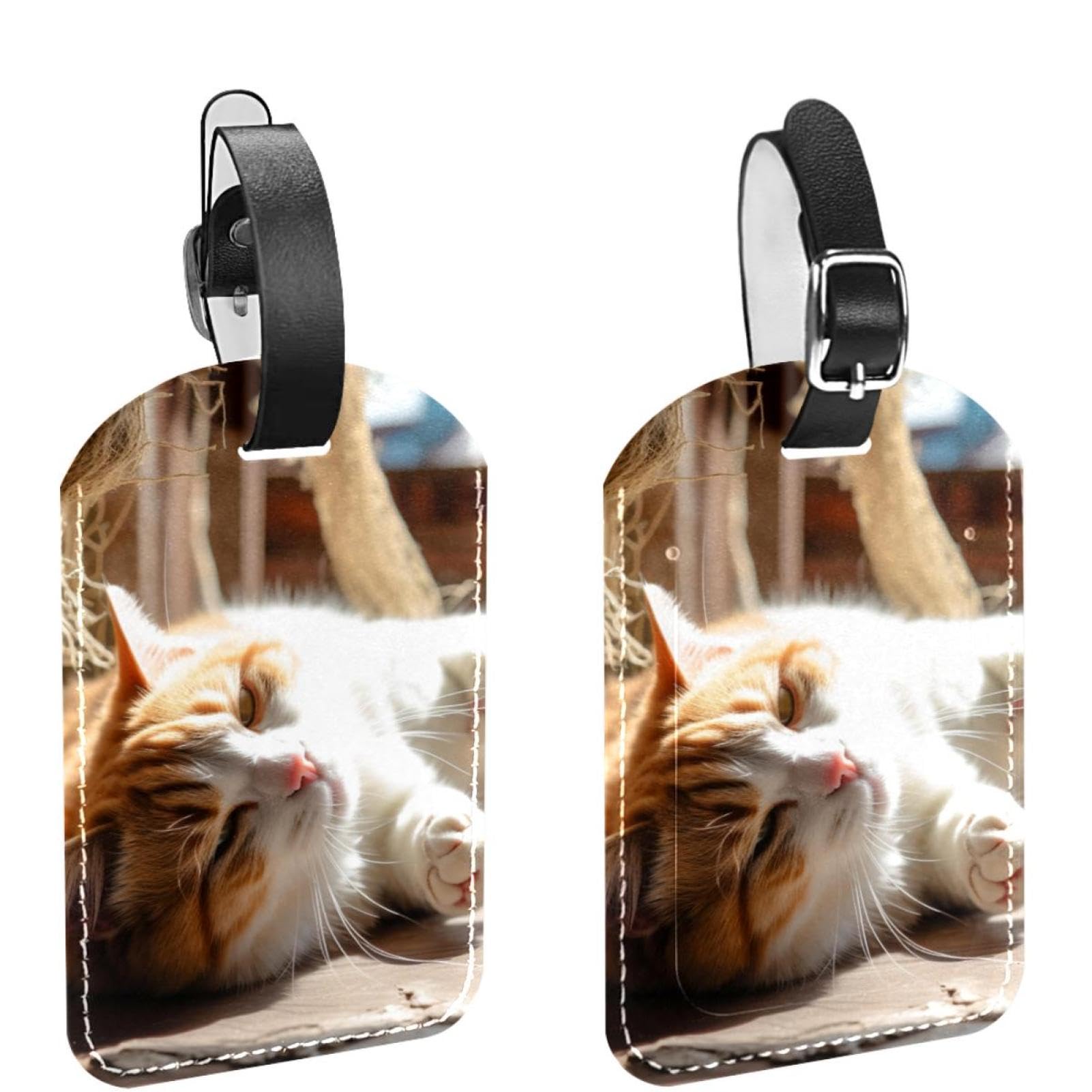 その他 CAT 投稿詳細｜MOTOCLE